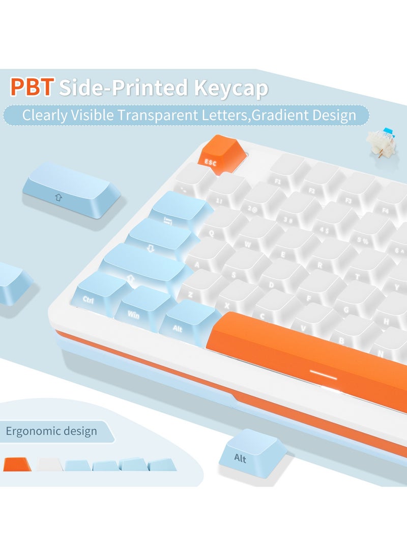 INFOSUN 82 Keys Mechanical Gaming Keyboard 75% Mini Type-C Wired  - White Light Effect - Hot Swappable - Gasket Mounted Design - Side engraved PBT Keycaps Gaming Keyboard(Customized Noah Silver Switch)  - Image 3