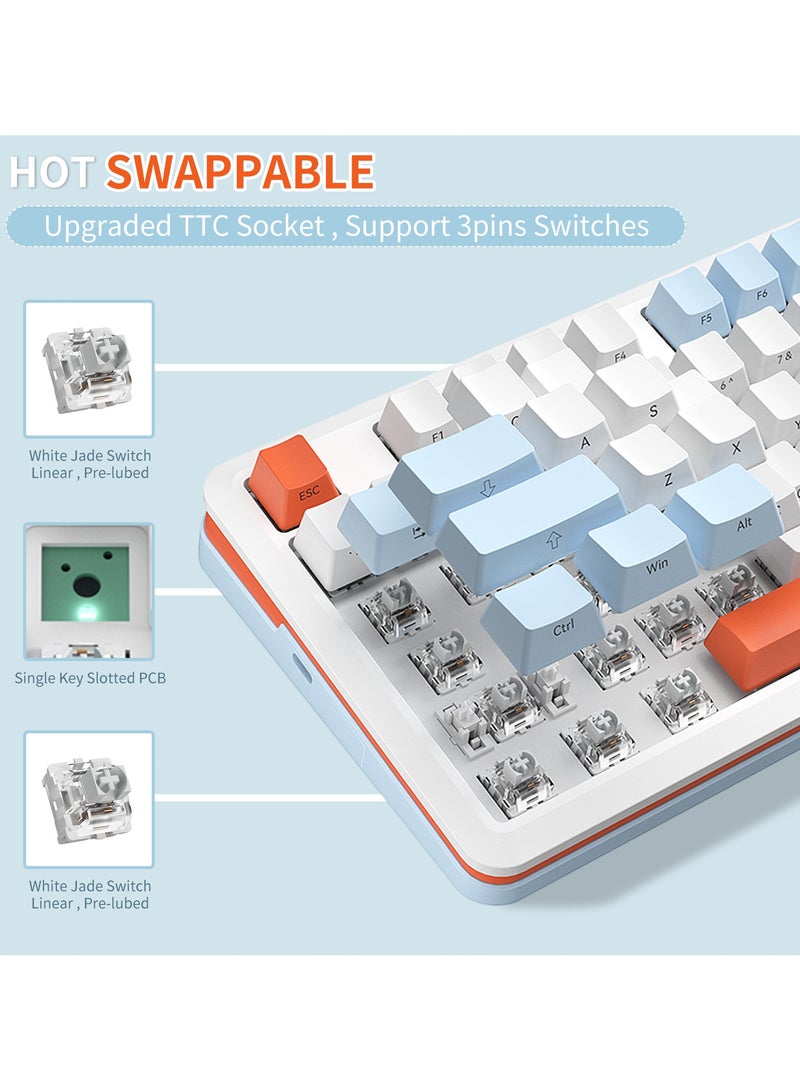 INFOSUN 82 Keys Mechanical Gaming Keyboard 75% Mini Type-C Wired  - White Light Effect - Hot Swappable - Gasket Mounted Design - Side engraved PBT Keycaps Gaming Keyboard(Customized Noah Silver Switch)  - Image 4