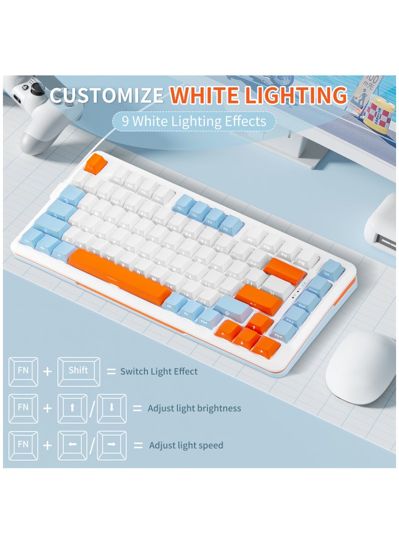 INFOSUN 82 Keys Mechanical Gaming Keyboard 75% Mini Type-C Wired  - White Light Effect - Hot Swappable - Gasket Mounted Design - Side engraved PBT Keycaps Gaming Keyboard(Customized Noah Silver Switch)  - Image 5