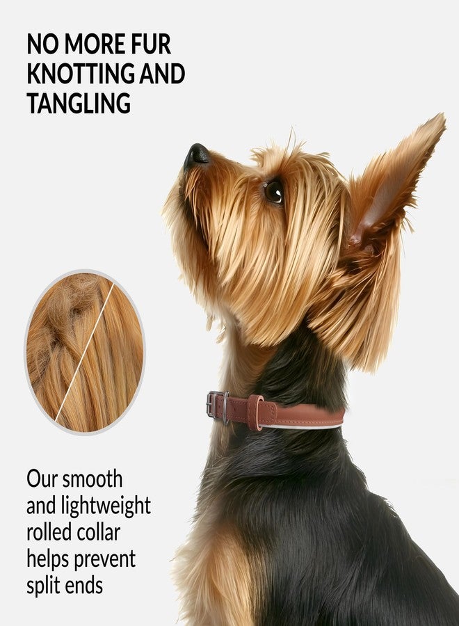 CollarDirect Reflective Rolled Leather Dog Collar, Soft Padded Round Puppy Collar, Handmade Genuine Leather Collar Dog Small Large Cat Collars 13 Colors (6-7 Inch, Cinnamon Reflective) - Image 2