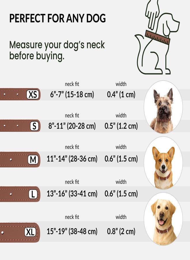 CollarDirect Reflective Rolled Leather Dog Collar, Soft Padded Round Puppy Collar, Handmade Genuine Leather Collar Dog Small Large Cat Collars 13 Colors (6-7 Inch, Cinnamon Reflective) - Image 5