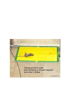 Generic Rat Catcher Glue Book and Crawling Insects  - Image 4