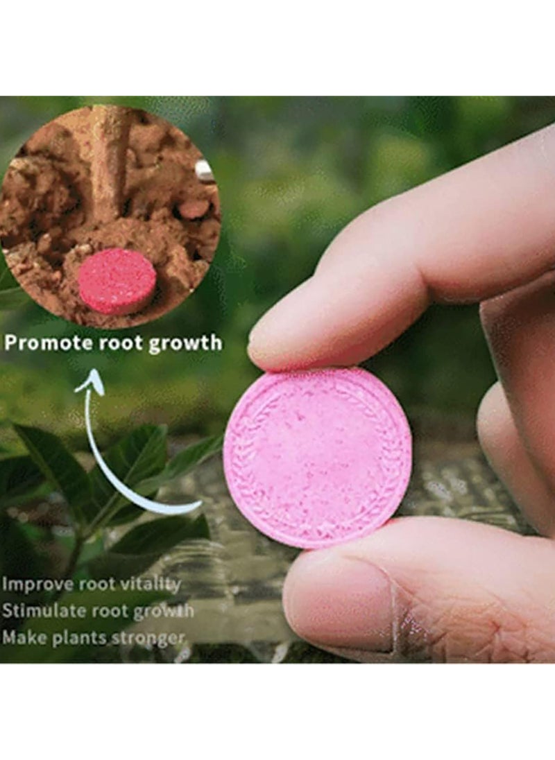 CMGTYYD Home Gardening Universal Slow-Release Tablet Organic Fertilizer,Bone Meal Fertilizer Organic,Slow Release Fertilizer Tablets, Organic All Purpose Fertilizer,Plant Growth Enhancer Supplement (5pcs)  - Image 2