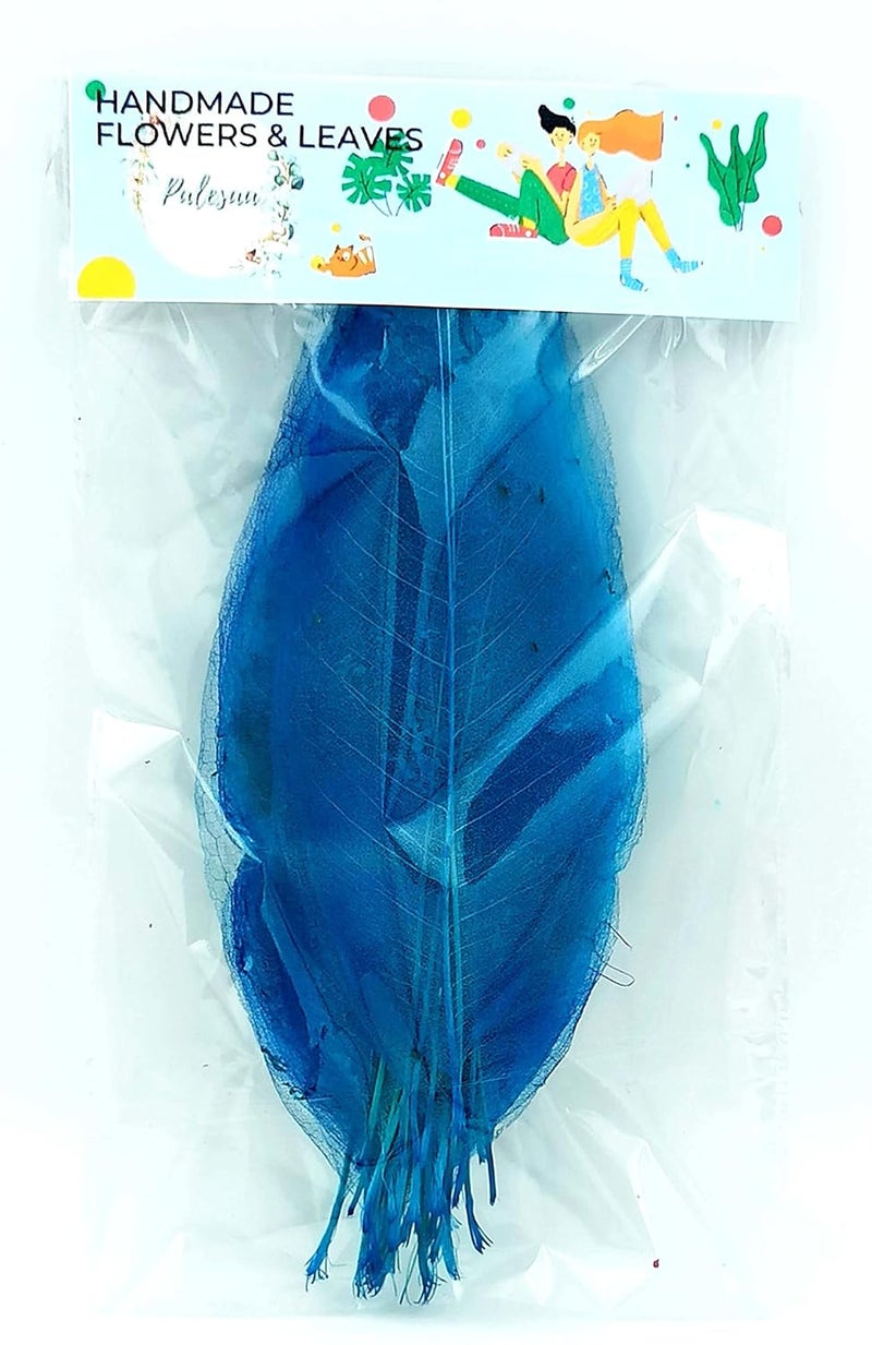 PALESAA Tifany Blue Magnolia Natural Skeleton Leaves Pack of 50pcs DIYDecor Craft Plant Leaves 15 cm Blue - Image 4
