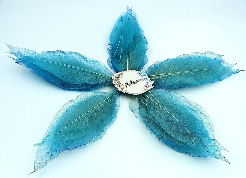 PALESAA Tifany Blue Magnolia Natural Skeleton Leaves Pack of 50pcs DIYDecor Craft Plant Leaves 15 cm Blue - Image 1