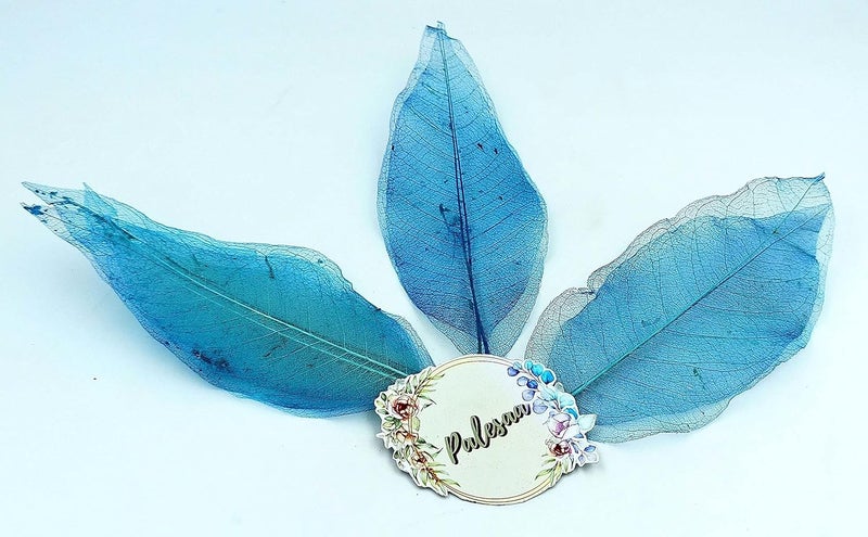 PALESAA Tifany Blue Magnolia Natural Skeleton Leaves Pack of 50pcs DIYDecor Craft Plant Leaves 15 cm Blue - Image 5