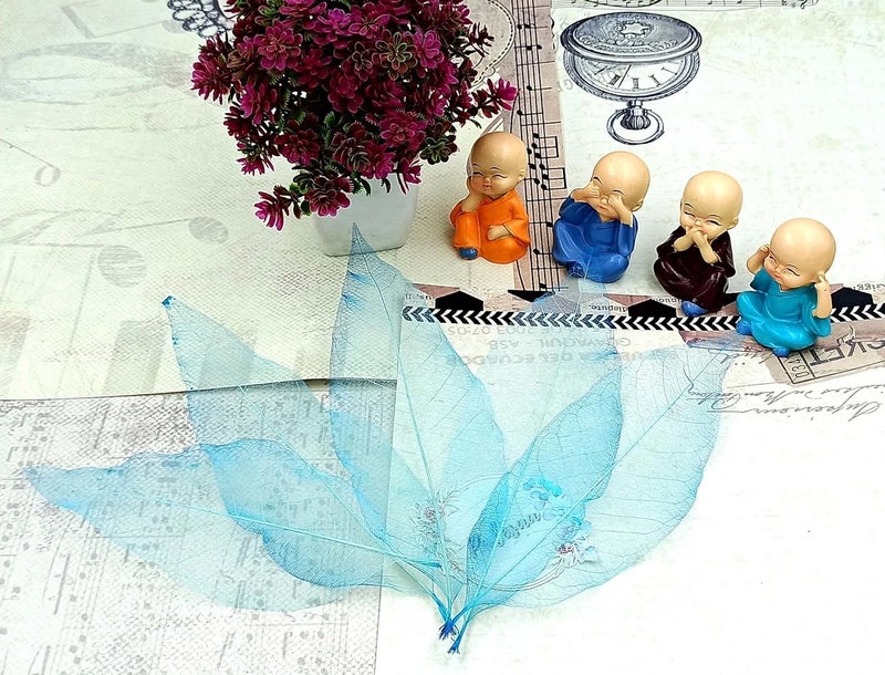 PALESAA Tifany Blue Magnolia Natural Skeleton Leaves Pack of 50pcs DIYDecor Craft Plant Leaves 15 cm Blue - Image 3