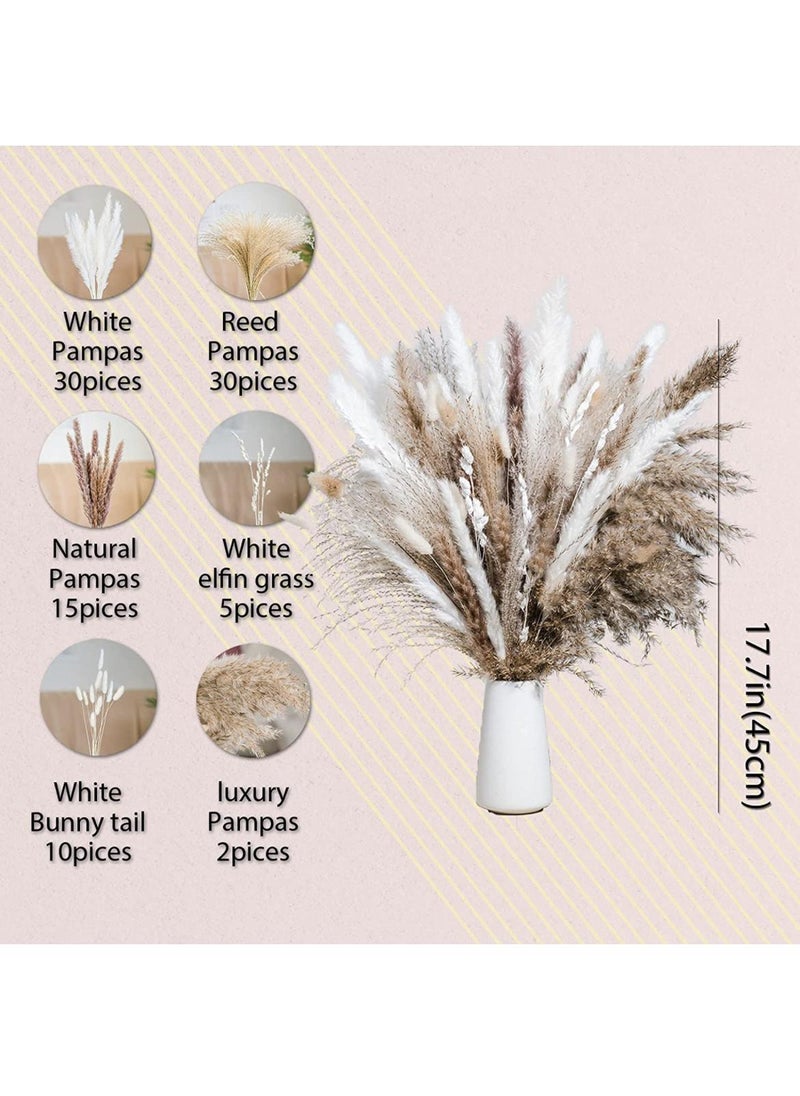 Generic 92 Pcs Dried Pampas Grass Dried Flowers Of Small Reeds Boho Natural Flowers Arrangements White Reed Bunny Tails for Home Decor Flower Living Room Balcony Wedding Party 