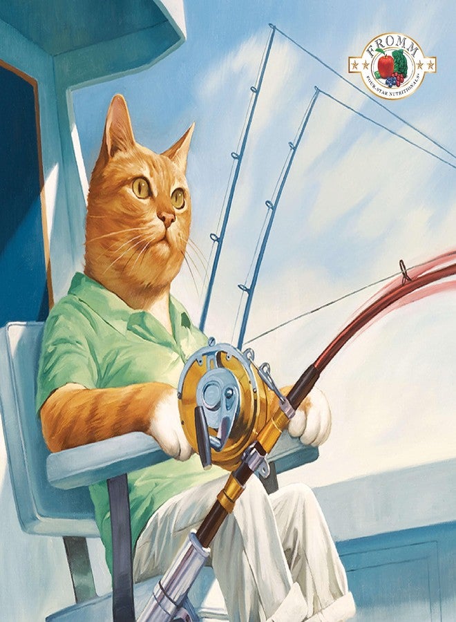 Fromm Four-Star Nutritionals Salmon Tunachovy Cat Food - Premium Dry Cat Food - Salmon Recipe - 10 lb - Image 2