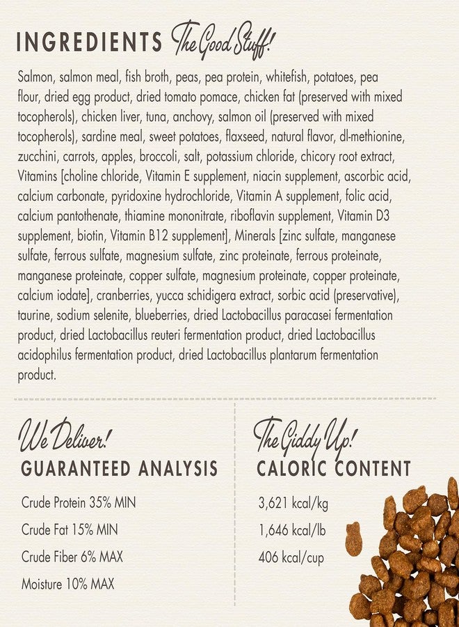 Fromm Four-Star Nutritionals Salmon Tunachovy Cat Food - Premium Dry Cat Food - Salmon Recipe - 10 lb - Image 4