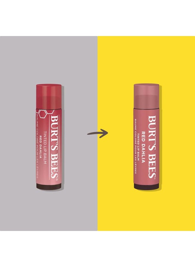 Burt's Bees - Lip Tint Balm with Long Lasting 2 in 1 Duo Tinted Balm Formula, Color Infused with Deeply Hydrating Shea Butter for a Natural Looking Buildable Finish, Fiery Red Dahlia (2-Pack) - Image 1
