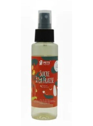 Perfume Sucre Ala Fraise - pzsku/ZE41B1D38B15DE02C686BZ/45/_/1698046806/e3387a1f-87ea-4b79-94c0-c8a351e210f0