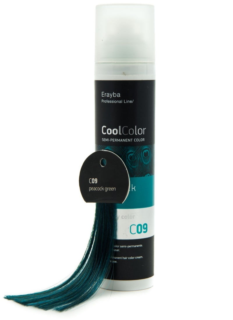 Erayba Cool Color Temporary Hair Dye100ml C09 Green Color - pzsku/ZE41B7DFB15F3D2994A97Z/45/_/1695610284/1cdb181a-85b4-4eb2-b585-3ace51361e4d