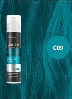Erayba Erayba Cool Color Temporary Hair Dye100ml C09 Green Color  - Image 1