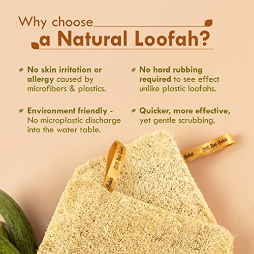 Nat Habit Natural Sun Dried Bath Loofah, Body Sponge & Scrubber for Men & Women | Organic Luffa for Bath Shower Skin Exfoliation (Pack of 3) - Image 3