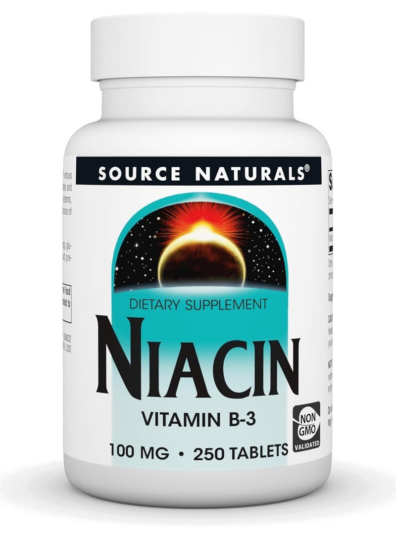 Source Naturals أقراص مكمل فيتامين ب-3 نياسين 100 ملغ 250