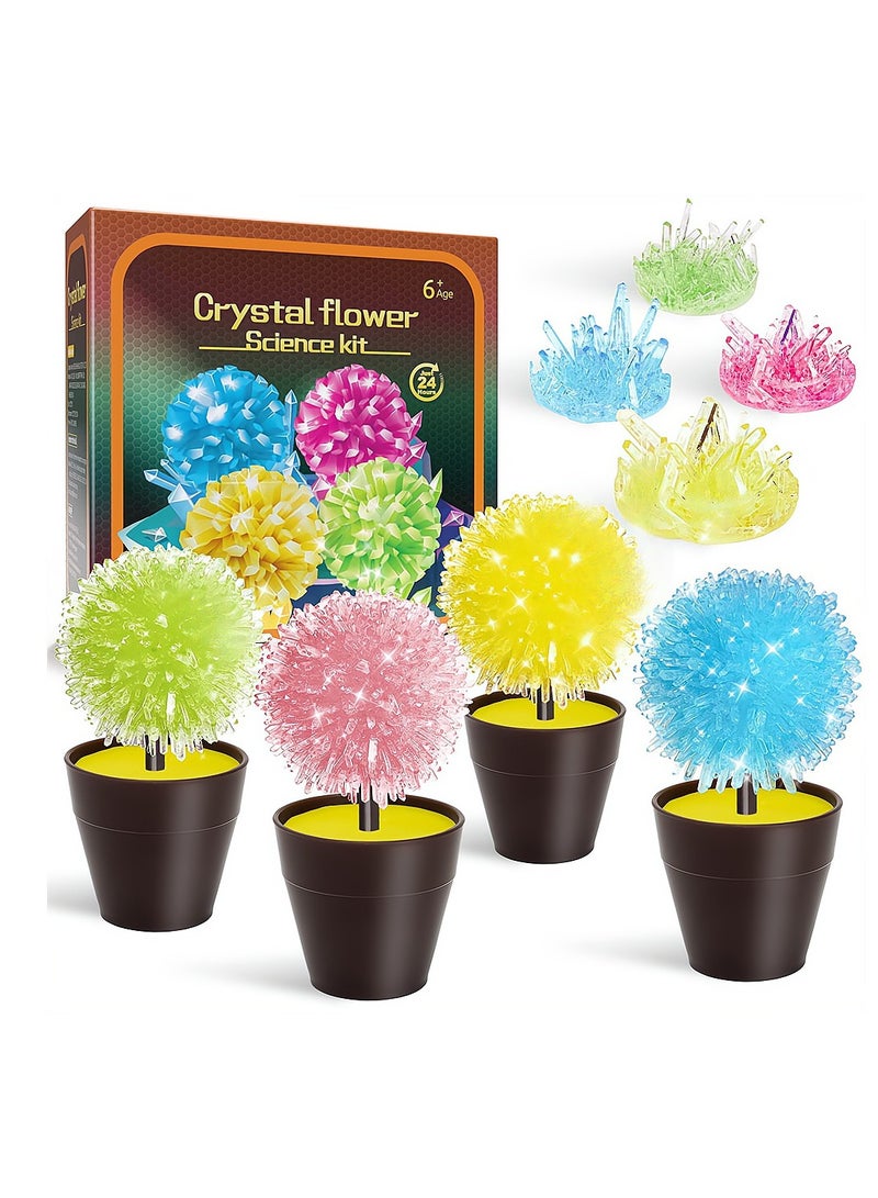 Zikra Crystal Growing Kit for Kids, Science Kits for Kids Ages 8-12, 4pcs Grow Crystal Science Experiments Toys, DIY Projects Learning and Education Toys Gifts for Girls and Boys - Image 1