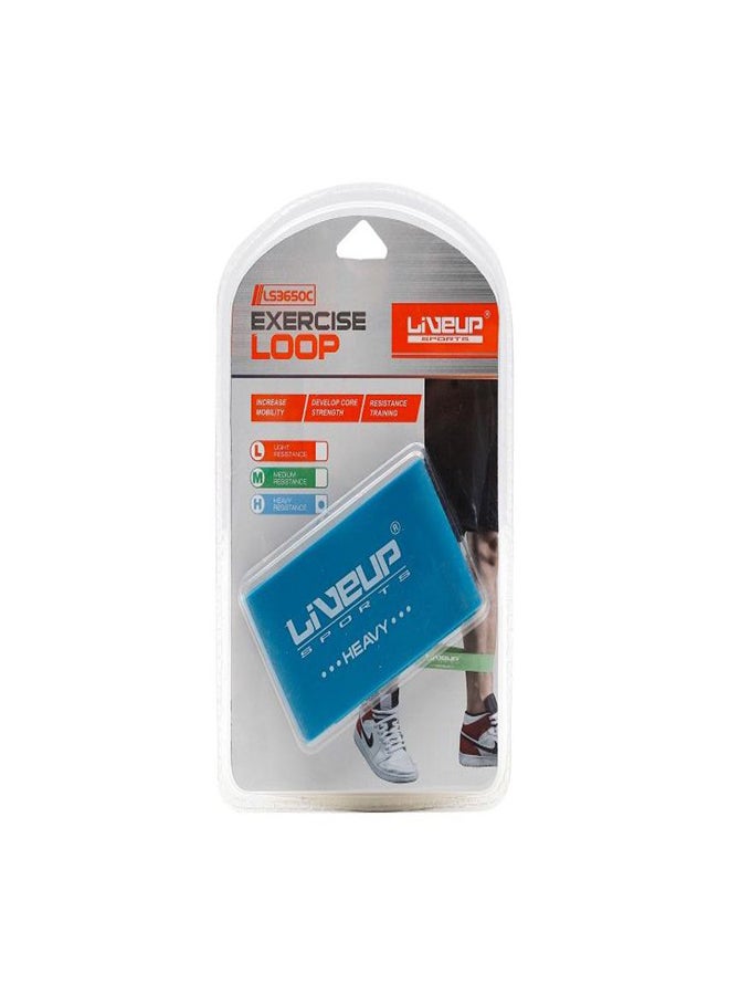 Exercise Loop Ls3650C Heavy