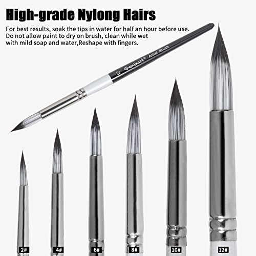 Genixart 24 Pcs Paint Brush Set, Artist Paintbrushes for Acrylic Oil Watercolor Painting, Premium Nylon Hair Art Paint Brushes 4 Type of Shapes in Different Sizes Assorted - Image 3