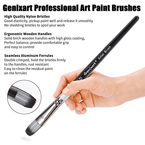 Genixart 24 Pcs Paint Brush Set, Artist Paintbrushes for Acrylic Oil Watercolor Painting, Premium Nylon Hair Art Paint Brushes 4 Type of Shapes in Different Sizes Assorted - Image 4