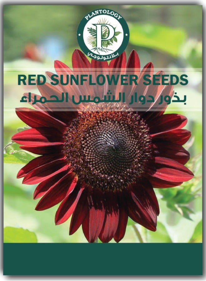 Red Sunflower Seeds for Planting - Sunflower Seeds for Garden Outdoor - 2 Packets