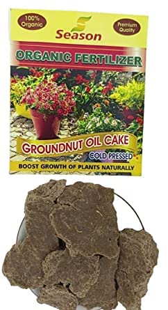 S Season Groundnut Oil Cake 1 KG for Healthy Plants and Soil Ideal for Home and Terrace GardensCattle Feed Pack of 1 - Image 2