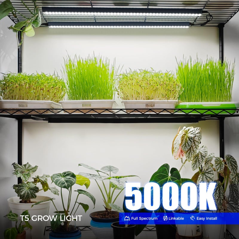 Barrina T5 Grow Lights, 2FT 80W(8 x 10W) Black Cover, LED Plant Growing Lamp for Indoor Plants, Full Spectrum Grow Light Strip with Switch, Magnetic Installation, Plug and Play, 5000K White, 8 Packs - Image 2