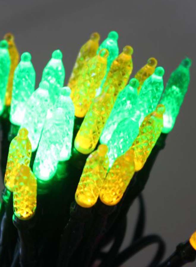 NIBEMINENT Decorative LED Solar String Light Warm White/Black 24feet - Image 2