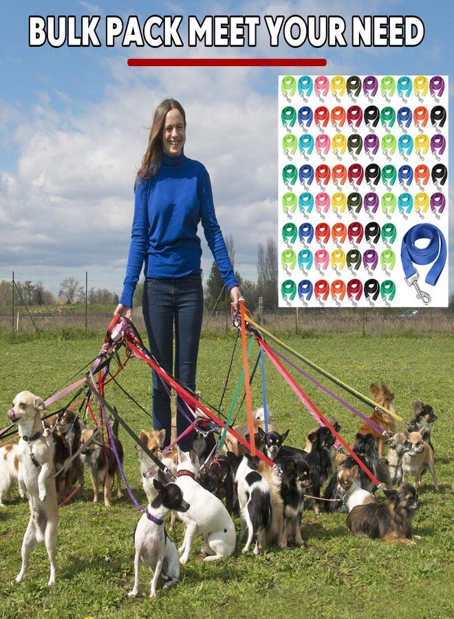 Tegeme 48 Pcs Dog Leash Bulk for Animal Shelter 5 ft Multicolored Puppy Training Leash Slip Pet Traction Nylon Rope for Small Medium Dogs Agility, Yard, Camping, Backyard Play - Image 4
