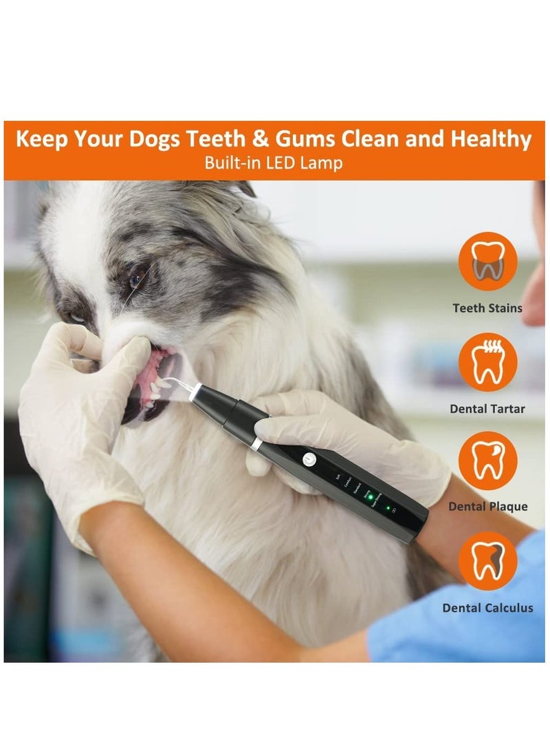 SYOSI Electric Tooth Polisher with LED Lamp Ultrasonic Cleaner Toothbrush 5 Modes Teeth Cleaning Kit Tartar Remover Stains - Image 2