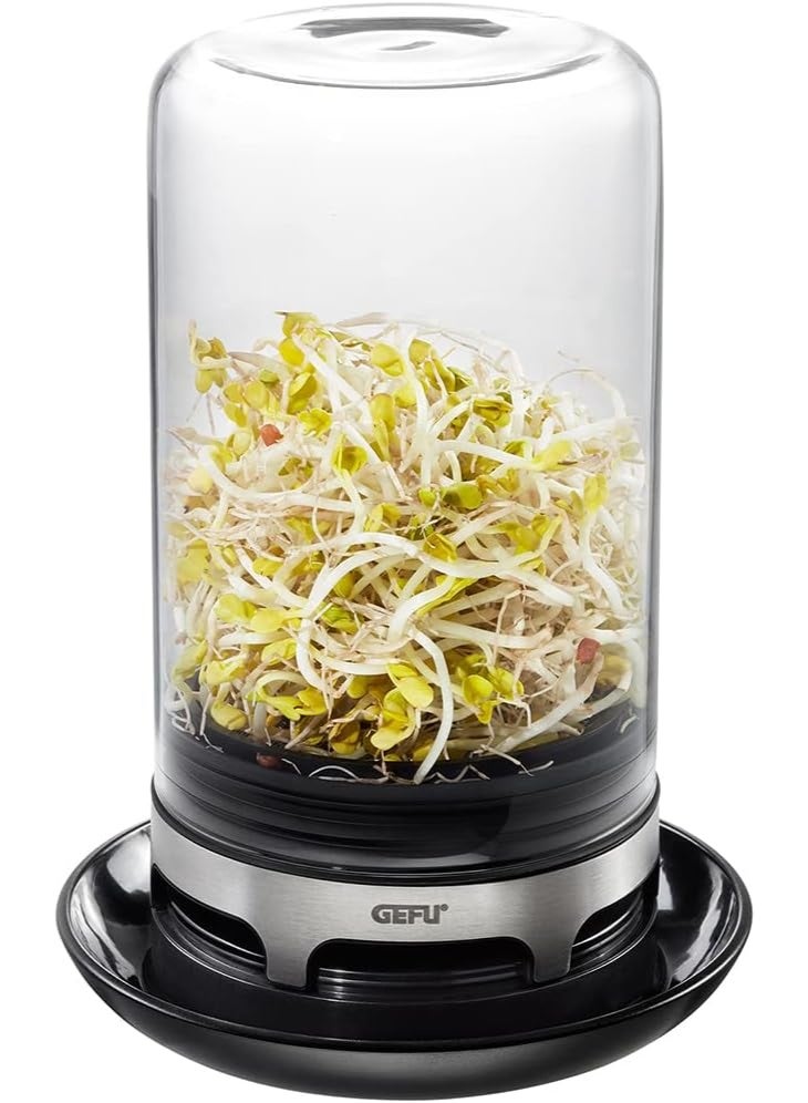 غيفو وعاء استنبات زجاجي منزلي لزراعة البراعم – زراعة داخلية صحية وسهلة - Image 2