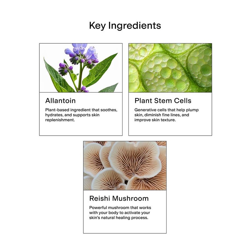 CLEARSTEM - CELLRENEW - Collagen Stem Cell Serum - Acne + Youthful Skin Face Serum - Hyaluronic Acid, Reishi, Aloe Vera - Facial Skin Care Products - Gluten Free, Cruelty Free - 1 fl oz / 29ml - Image 4