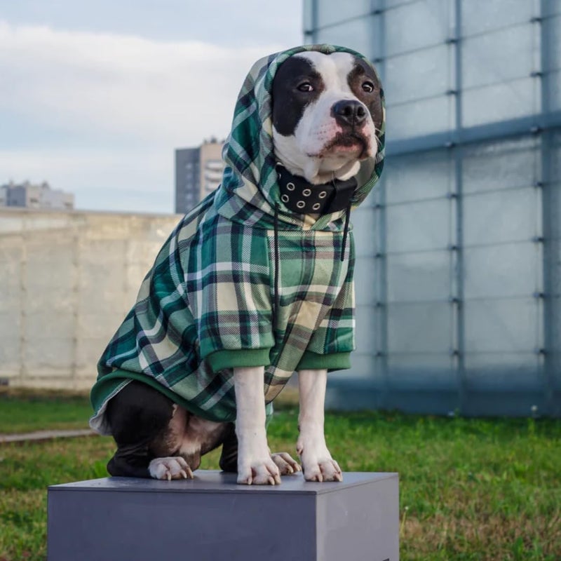 Spark Paws Dog Hoodie – Premium Dog Sweater for Small, Medium, and Large Dogs | Warm Outfits for French Bulldogs, Pitbull, Puppy, Winter Jacket Alternative - Green Plaid - 2XL - Image 4