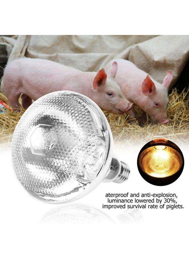 Semme - Semme Thick Pig Piglet Heat Lamp, 1Pc Pig Piglet Thick Heat Lamp Explosion-Proof Light for Brooding and Livestock Rearing Like Piglets (175W) - Image 1