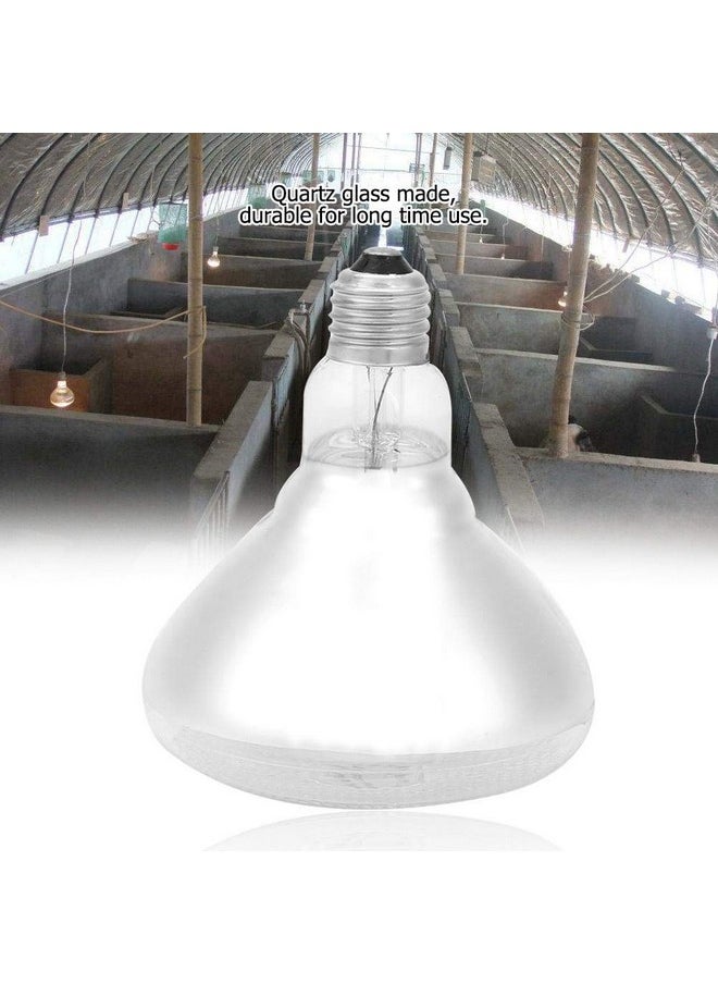 Semme - Semme Thick Pig Piglet Heat Lamp, 1Pc Pig Piglet Thick Heat Lamp Explosion-Proof Light for Brooding and Livestock Rearing Like Piglets (175W) - Image 1