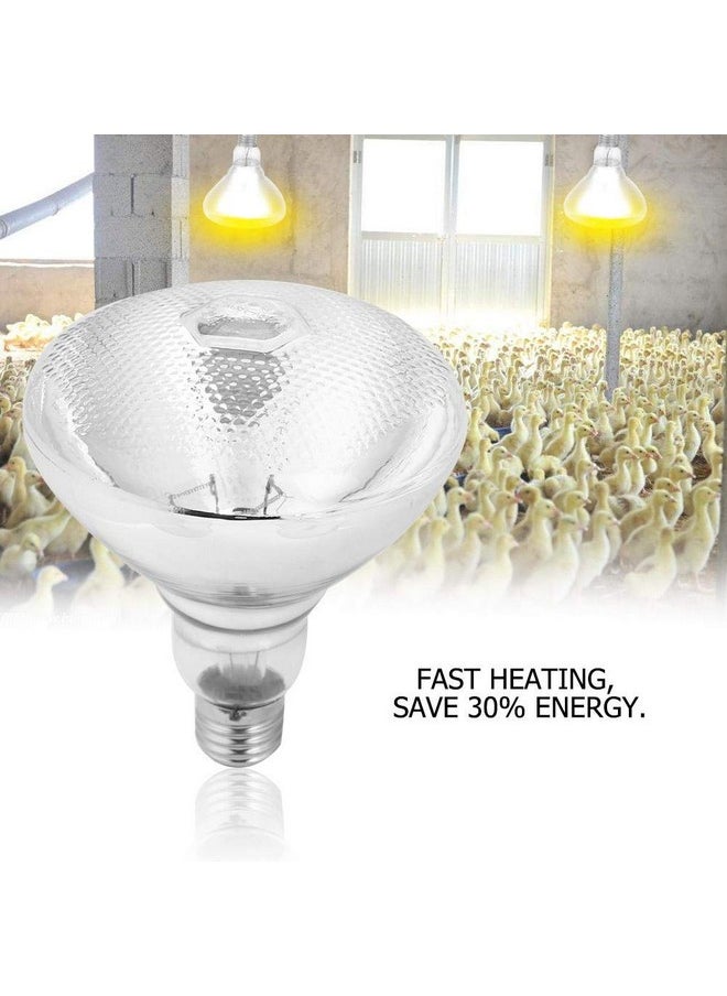 Semme - Semme Thick Pig Piglet Heat Lamp, 1Pc Pig Piglet Thick Heat Lamp Explosion-Proof Light for Brooding and Livestock Rearing Like Piglets (175W) - Image 1