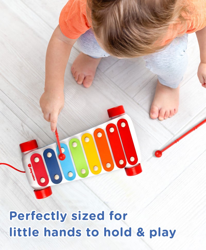 PlayNation Play Nation Pull Along Xylophone, Vibrant, Amazing Sounds, Promotes Fine Motor Skills, 3 Years+, L 24 x B 15.5 X H 6 cm - Multicolor - Image 3