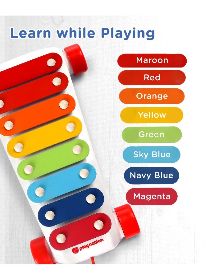 PlayNation Play Nation Pull Along Xylophone, Vibrant, Amazing Sounds, Promotes Fine Motor Skills, 3 Years+, L 24 x B 15.5 X H 6 cm - Multicolor - Image 2