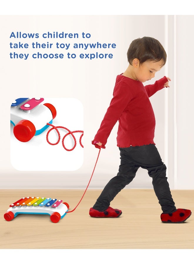 PlayNation Play Nation Pull Along Xylophone, Vibrant, Amazing Sounds, Promotes Fine Motor Skills, 3 Years+, L 24 x B 15.5 X H 6 cm - Multicolor - Image 5
