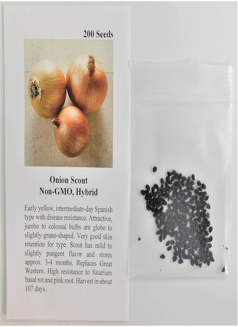 GGOOT - Onion Intermediate-Day Scout 8913 (Yellow) 200 Non-GMO, Hybrid Seeds - Image 1