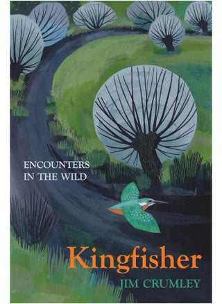 Kingfisher - pzsku/ZE42B550EA549C915D13FZ/45/_/1731331070/3d7a31ca-ec97-49f0-a8f8-1bc1b57f2039