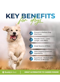 Buddy Pumpkin Powder for Dogs Natural Source of Fiber and Nutrients Supports Healthy Digestion and Well Being 200g  - Image 4