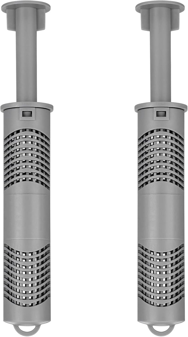 Hot Spring Spas BEE COLINE Freshwater Ag+ Continuous Silver Ion Sanitizer 71325 - 2 Pack - Image 1