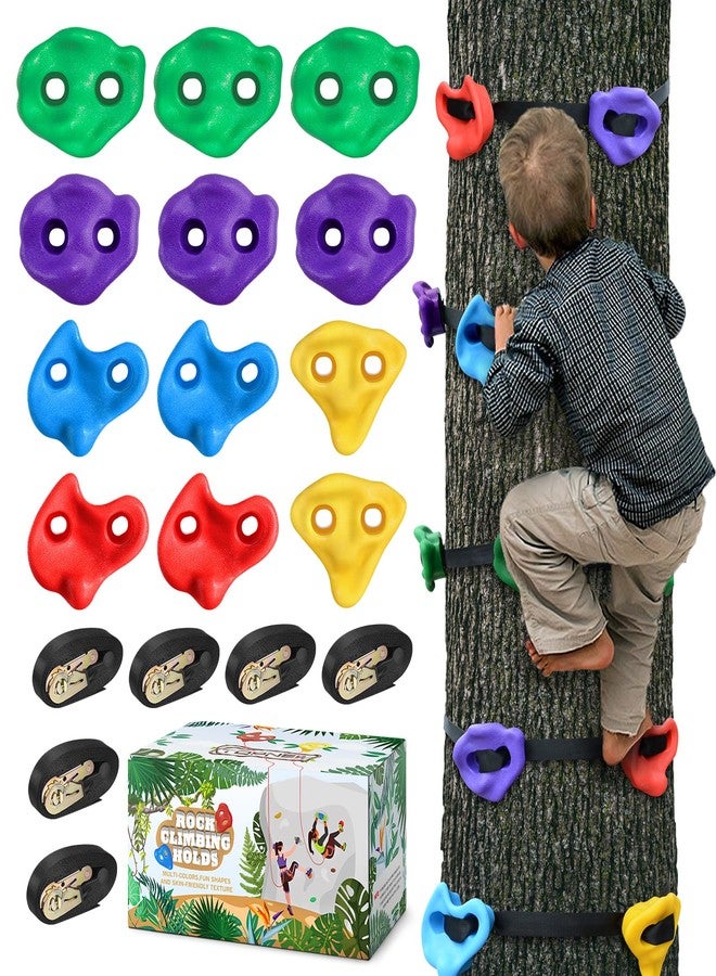TOPNEW 12 Ninja Tree Climbing Holds for Kids Climber, Adult Climbing Rocks with 6 Ratchet Straps for Outdoor Ninja Warrior Obstacle Course Training - Image 1