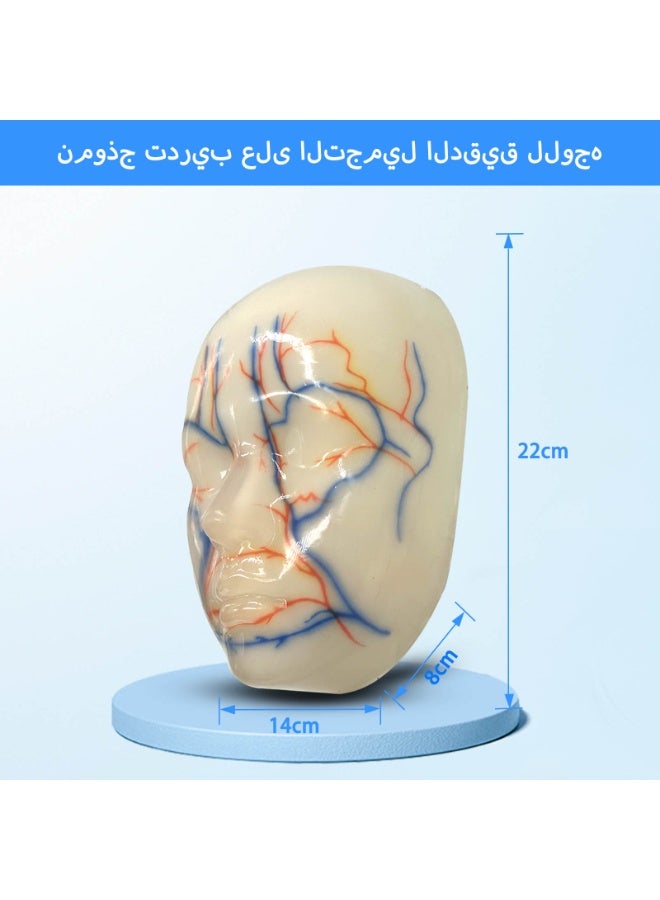 نموذج تدريبي مصغر للوجه لممارسة الحقن والحشو – وجه محاكاة للبشرة مخصص للتدريس والتدريب وتعلم الإجراءات التجميلية وتقنيات الحقن والممارسة الطبية التجميلية - Image 3