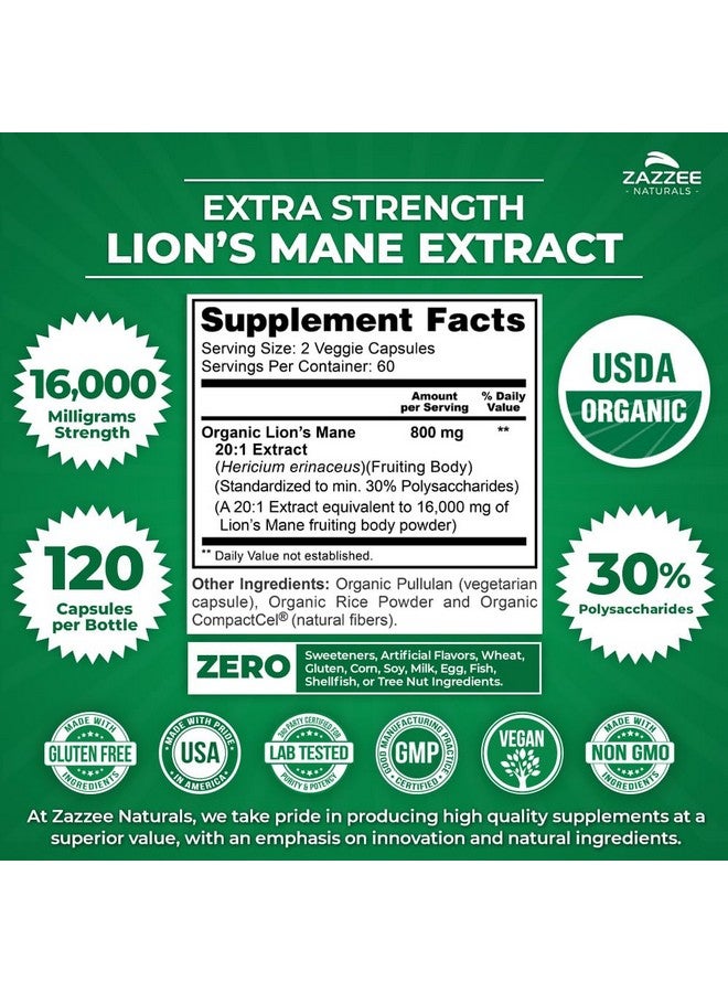 Zazzee USDA Organic Lion's Mane 20:1 Extract, 30% Polysaccharides, 16,000 mg Strength, 120 Vegan Capsules, Nootropic for Brain Health, Focus, Memory, Concentration and Immune Support, Made in The USA - Image 3