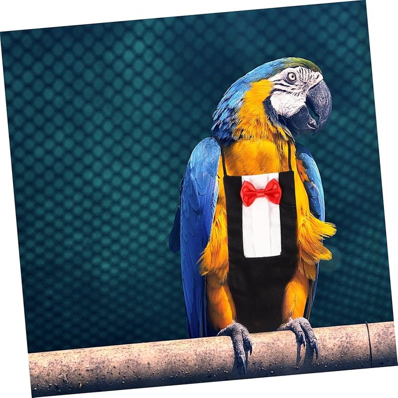 حفاضات الببغاء الكبيرة القابلة للغسل بدلة طيران مقود طيور ملابس للتدريب في الهواء الطلق 2 قطعة - Image 4