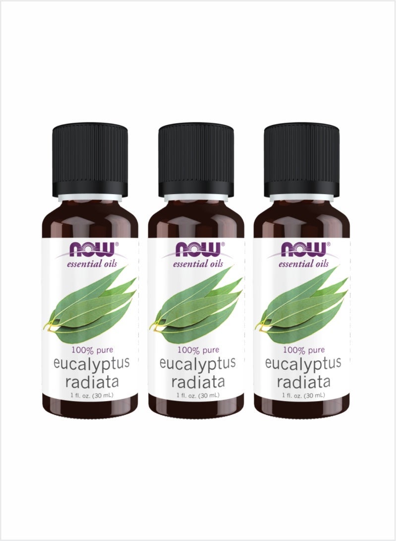 NOW Eucalyptus Radiata Essential Oil - Subtle Aromatic Relief, 30ml (Pack of 3)