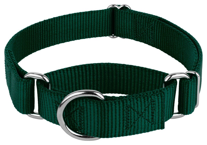 Country Brook Design Country Brook Petz - Martingale Dog Collar - Heavy-Duty Training Collar with No Buckle - Service Dog Collar for All Pups - 10+ Cool Colors (Green, 3/4 Inch, Small) - Image 1