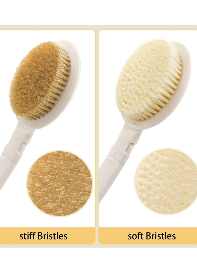 SOLARAE Body Brush Set, Stiff Bath with Long Handle, 3 in 1 Foldable Shower Brush Back Scrubber with Brush Sponge Pumice Head for Bath and Shower, Exfoliating or Dry Skin Brushing 19 - Image 2